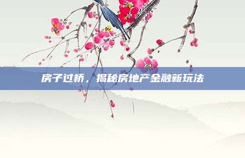 房子过桥，揭秘房地产金融新玩法