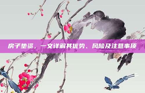 房子垫资，一文详解其优势、风险及注意事项
