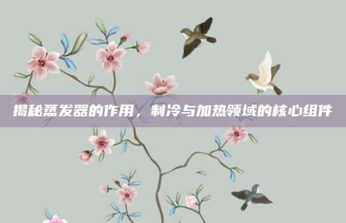 揭秘蒸发器的作用，制冷与加热领域的核心组件
