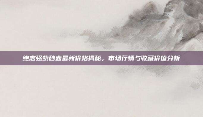 鲍志强紫砂壶最新价格揭秘，市场行情与收藏价值分析