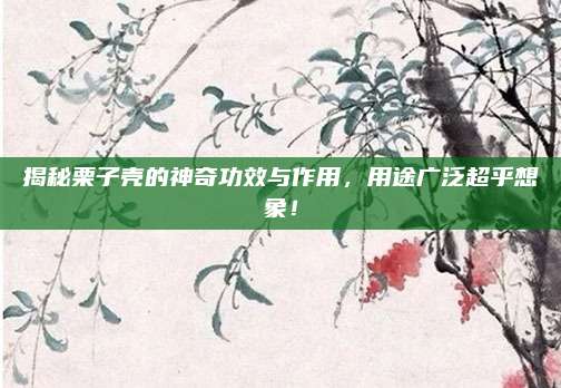 揭秘栗子壳的神奇功效与作用，用途广泛超乎想象！