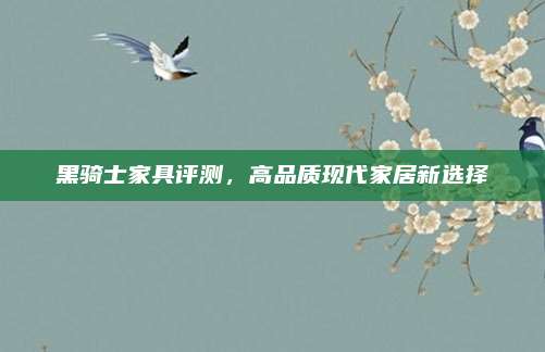 黑骑士家具评测，高品质现代家居新选择