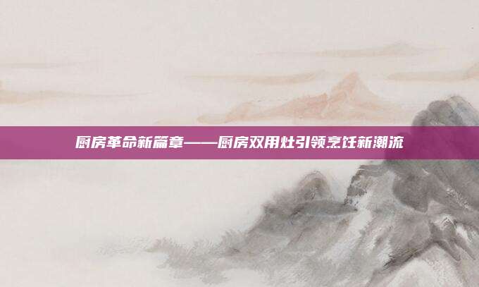厨房革命新篇章——厨房双用灶引领烹饪新潮流