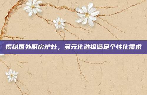 揭秘国外厨房炉灶，多元化选择满足个性化需求