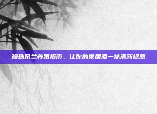 珍珠吊兰养殖指南，让你的家居添一抹清新绿意