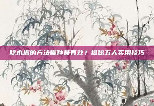 除水垢的方法哪种最有效？揭秘五大实用技巧