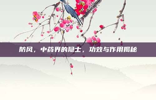 防风，中药界的隐士，功效与作用揭秘