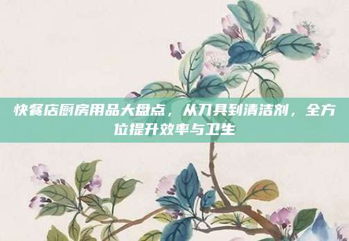 快餐店厨房用品大盘点，从刀具到清洁剂，全方位提升效率与卫生