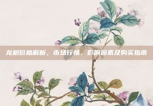 龙树价格解析，市场行情、影响因素及购买指南