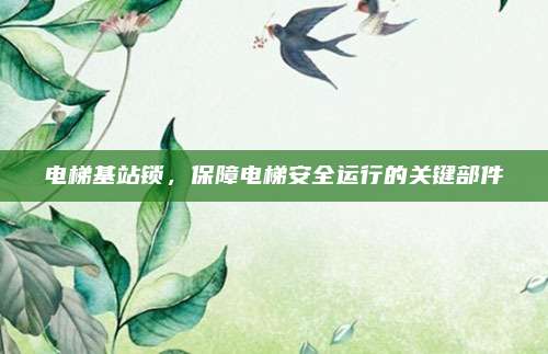 电梯基站锁，保障电梯安全运行的关键部件