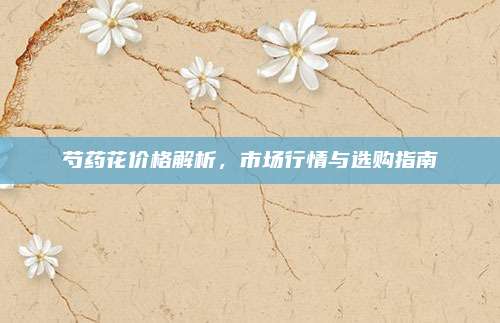 芍药花价格解析，市场行情与选购指南