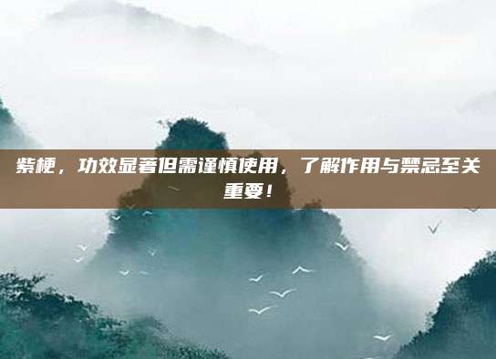 紫梗，功效显著但需谨慎使用，了解作用与禁忌至关重要！