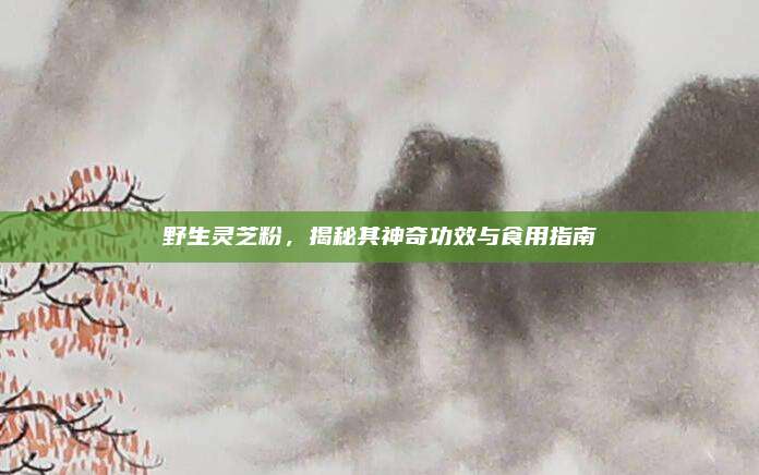 野生灵芝粉，揭秘其神奇功效与食用指南
