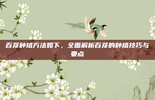 百芨种植方法如下，全面解析百芨的种植技巧与要点