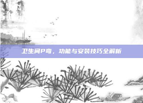 卫生间P弯，功能与安装技巧全解析