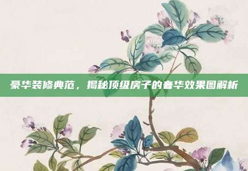 豪华装修典范，揭秘顶级房子的奢华效果图解析