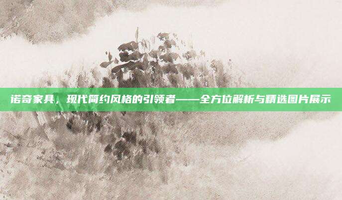 诺奇家具，现代简约风格的引领者——全方位解析与精选图片展示