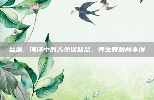 丝螺，海洋中的天然保健品，养生养颜两不误