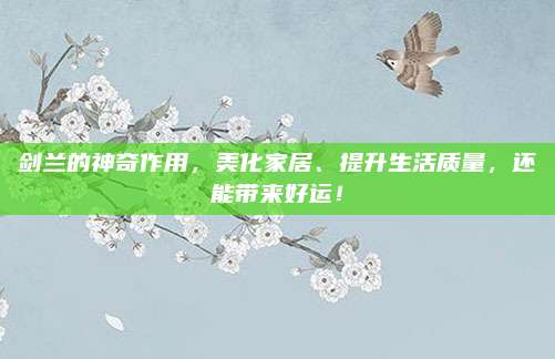 剑兰的神奇作用，美化家居、提升生活质量，还能带来好运！