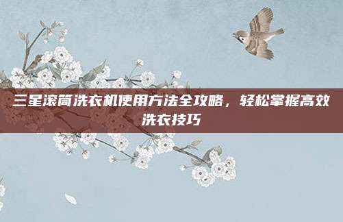三星滚筒洗衣机使用方法全攻略，轻松掌握高效洗衣技巧