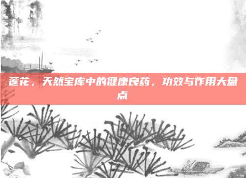 莲花，天然宝库中的健康良药，功效与作用大盘点