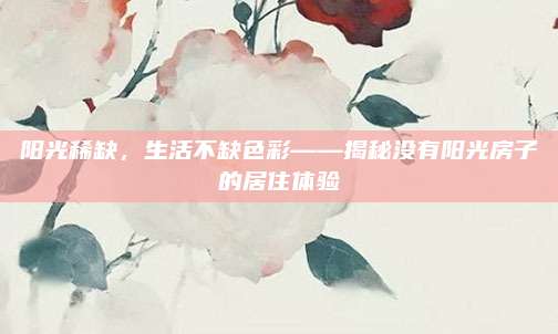 阳光稀缺，生活不缺色彩——揭秘没有阳光房子的居住体验