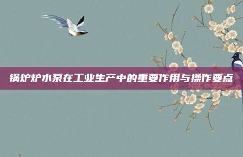 锅炉炉水泵在工业生产中的重要作用与操作要点