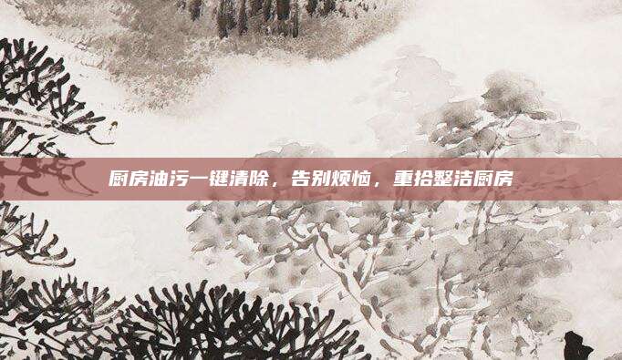 厨房油污一键清除，告别烦恼，重拾整洁厨房