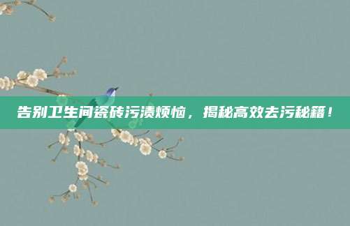 告别卫生间瓷砖污渍烦恼，揭秘高效去污秘籍！