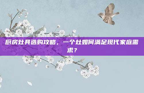 厨房灶具选购攻略，一个灶如何满足现代家庭需求？