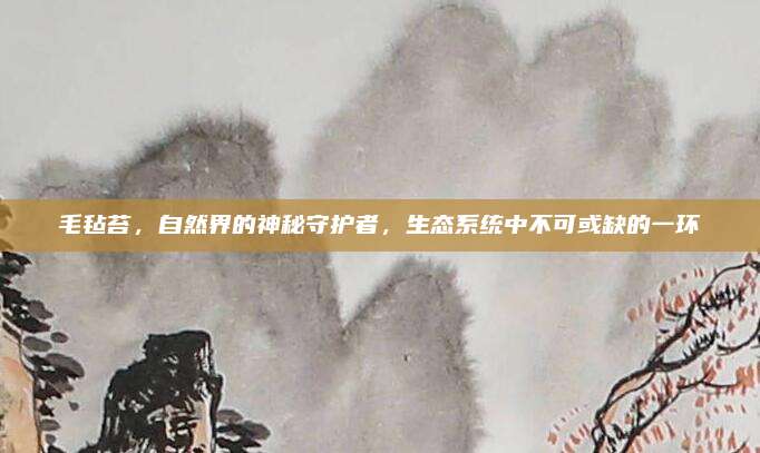 毛毡苔，自然界的神秘守护者，生态系统中不可或缺的一环