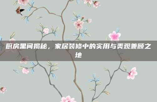 厨房黑间揭秘，家居装修中的实用与美观兼顾之地