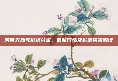河南天然气价格分析，最新行情及影响因素解读