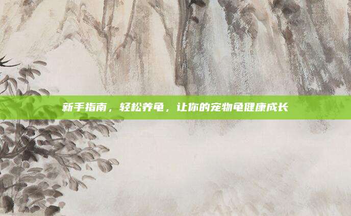 新手指南，轻松养龟，让你的宠物龟健康成长