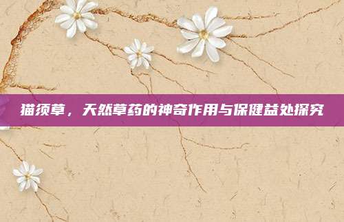 猫须草，天然草药的神奇作用与保健益处探究