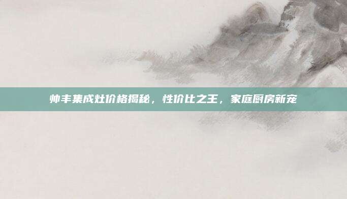 帅丰集成灶价格揭秘，性价比之王，家庭厨房新宠