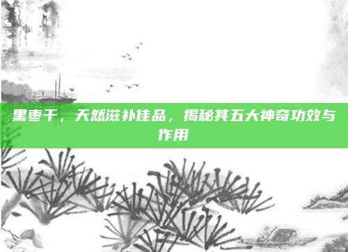 黑枣干，天然滋补佳品，揭秘其五大神奇功效与作用