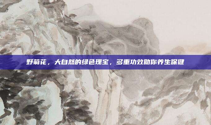 野菊花，大自然的绿色瑰宝，多重功效助你养生保健