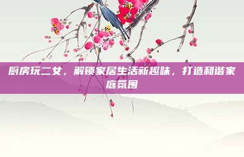 厨房玩二女，解锁家居生活新趣味，打造和谐家庭氛围