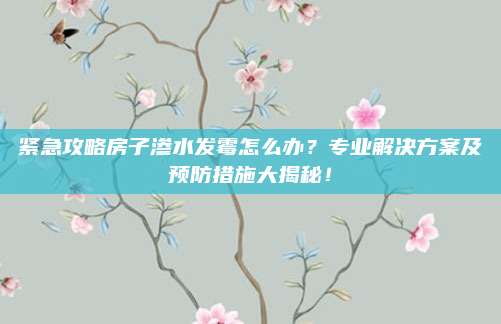 紧急攻略房子渗水发霉怎么办？专业解决方案及预防措施大揭秘！