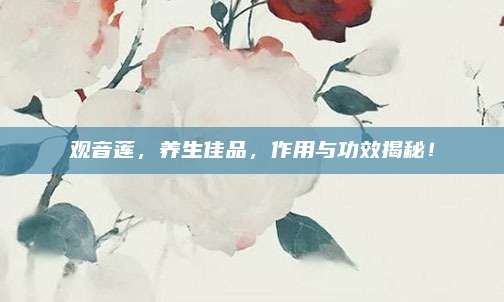 观音莲，养生佳品，作用与功效揭秘！