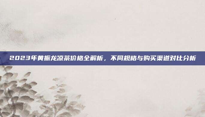 2023年黄振龙凉茶价格全解析，不同规格与购买渠道对比分析