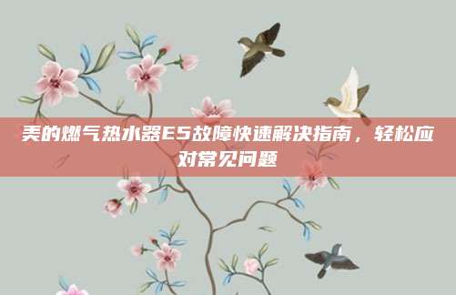 美的燃气热水器E5故障快速解决指南，轻松应对常见问题