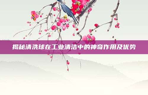 揭秘清洗球在工业清洁中的神奇作用及优势