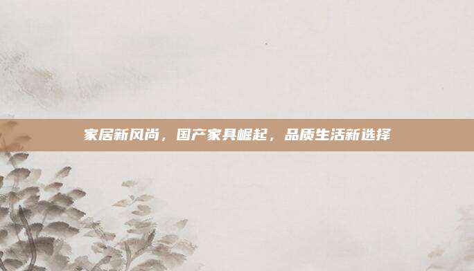 家居新风尚，国产家具崛起，品质生活新选择