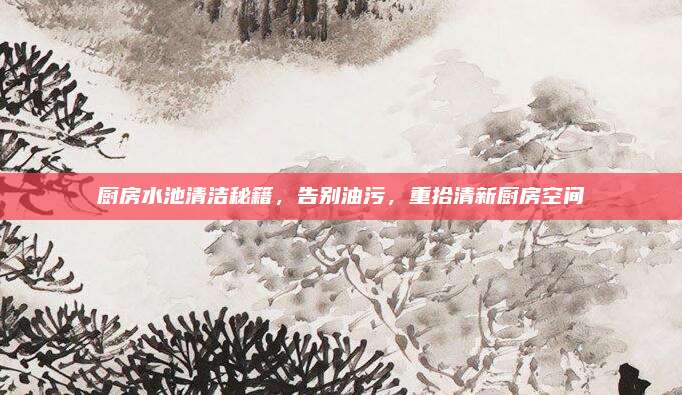 厨房水池清洁秘籍，告别油污，重拾清新厨房空间