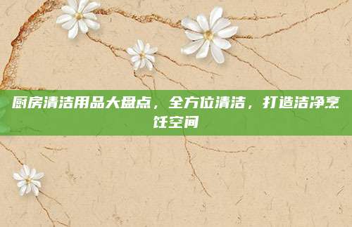 厨房清洁用品大盘点，全方位清洁，打造洁净烹饪空间