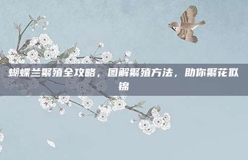 蝴蝶兰繁殖全攻略，图解繁殖方法，助你繁花似锦