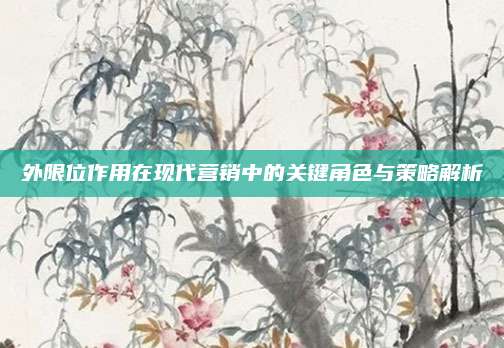 外限位作用在现代营销中的关键角色与策略解析