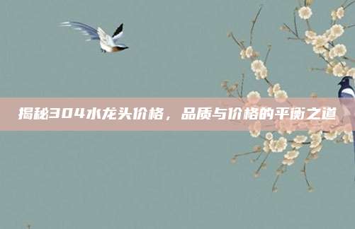 揭秘304水龙头价格，品质与价格的平衡之道